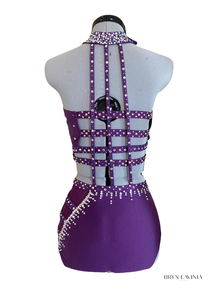 NEW AXS/AS eggplant ready-to-ship costume